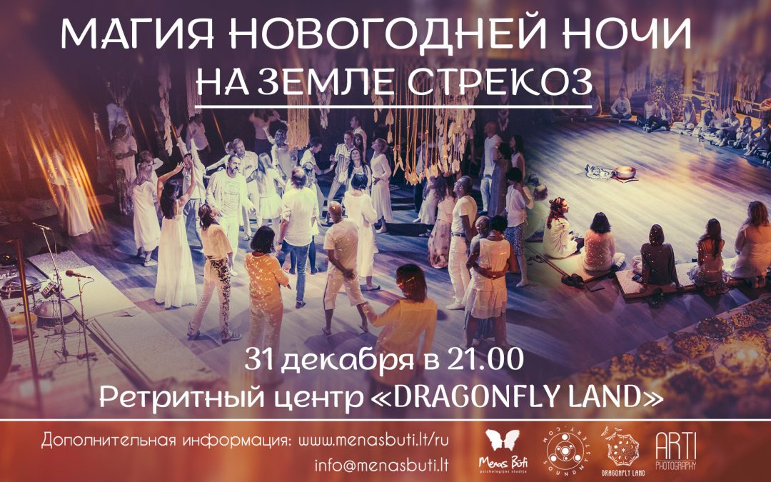 Магия Новогодней Ночи на Земле Стрекоз