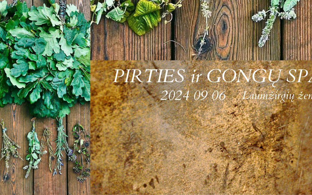 PIRTIES ir GONGŲ SPA Laumžirgių žemėje